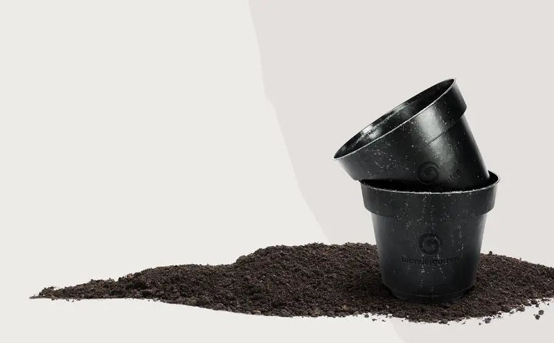 Der plastikfreie Pflanztopf von  mit Pflanzenkohle -