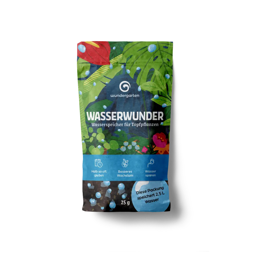 Wasserwunder für Zimmerpflanzen