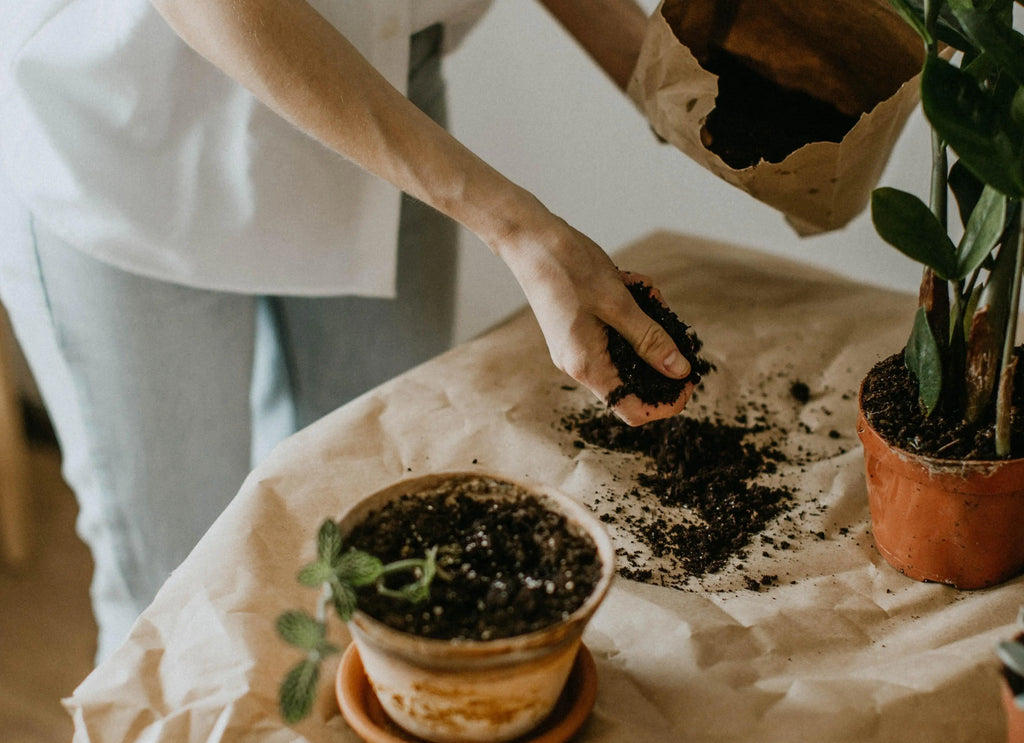 kalium dnger wofr Dennerle Plant Care K