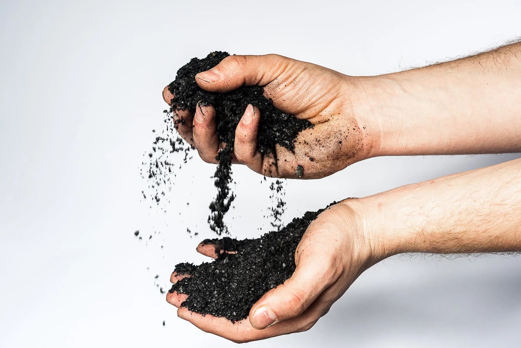 pflanzenkohle, pflanzenkohle kaufen, pflanzenkohle obi, pflanzenkohle carboverte, pflanzenkohle keep it grün, pflanzenkohle kakaoschalen, aktivierte pflanzenkohle, was ist pflanzenkohle, sonnenerde pflanzenkohle, moola pflanzenkohle, bio pflanzenkohle, pflanzenkohle ebay, pflanzenkohle kaufen, pflanzenkohle aktivieren, pflanzenkohle anwendung, pflanzenkohle aktiviert, pflanzenkohle aktiviert kaufen, aufgeladene pflanzenkohle, amazon pflanzenkohle, Pflanzenkohle Wundergart